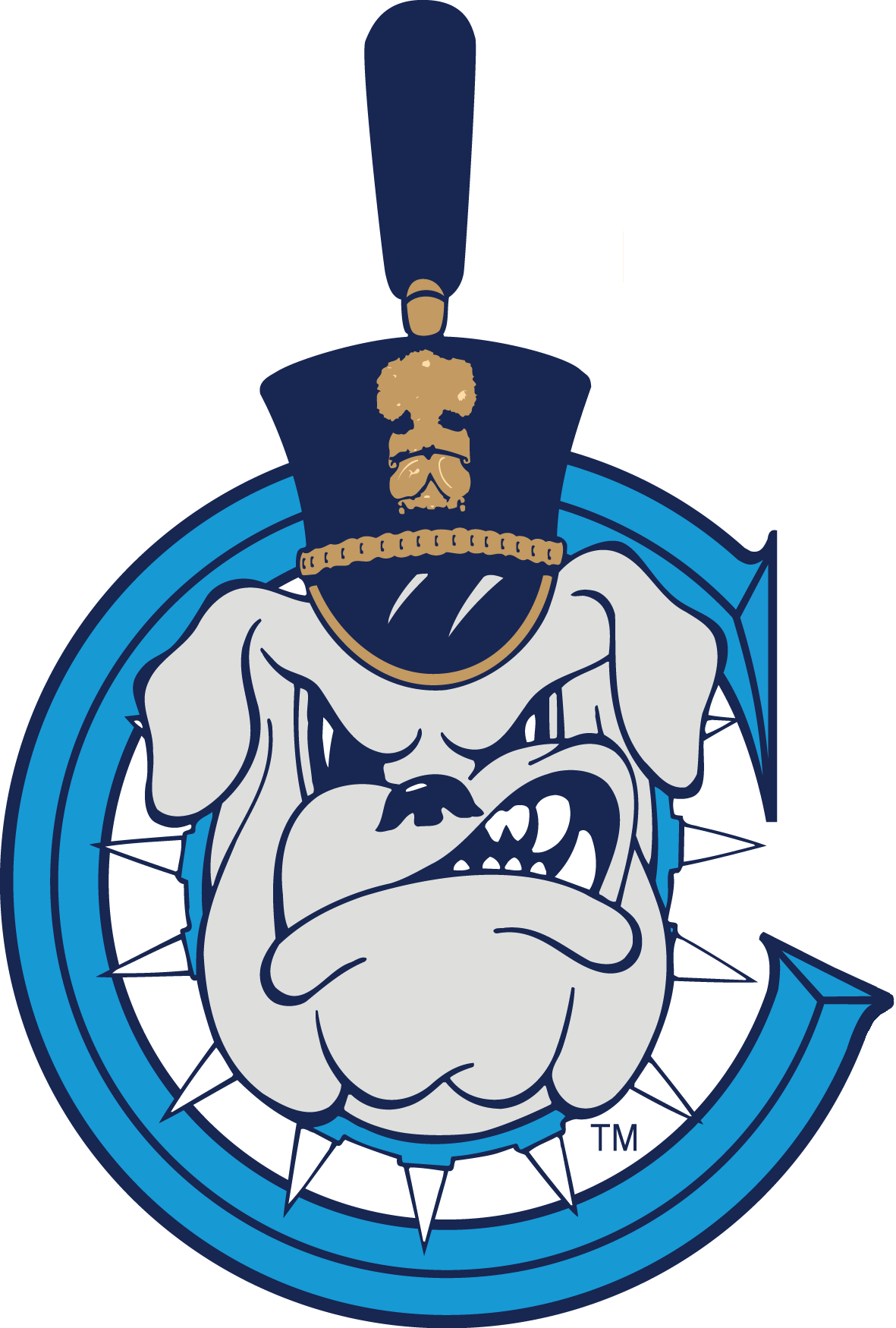 The Citadel Bulldogs 0-Pres Secondary Logo t shirts iron on transfers